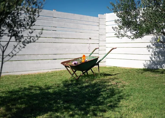 House Dalma זאדאר