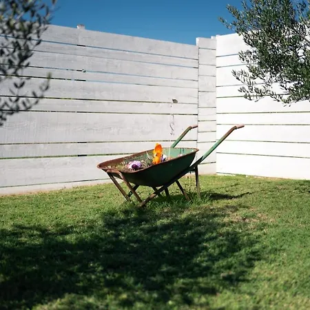 House Dalma Zadar
