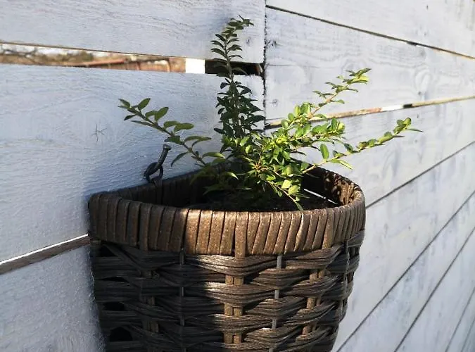 Lägenhet House Dalma